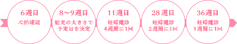 妊娠の周期